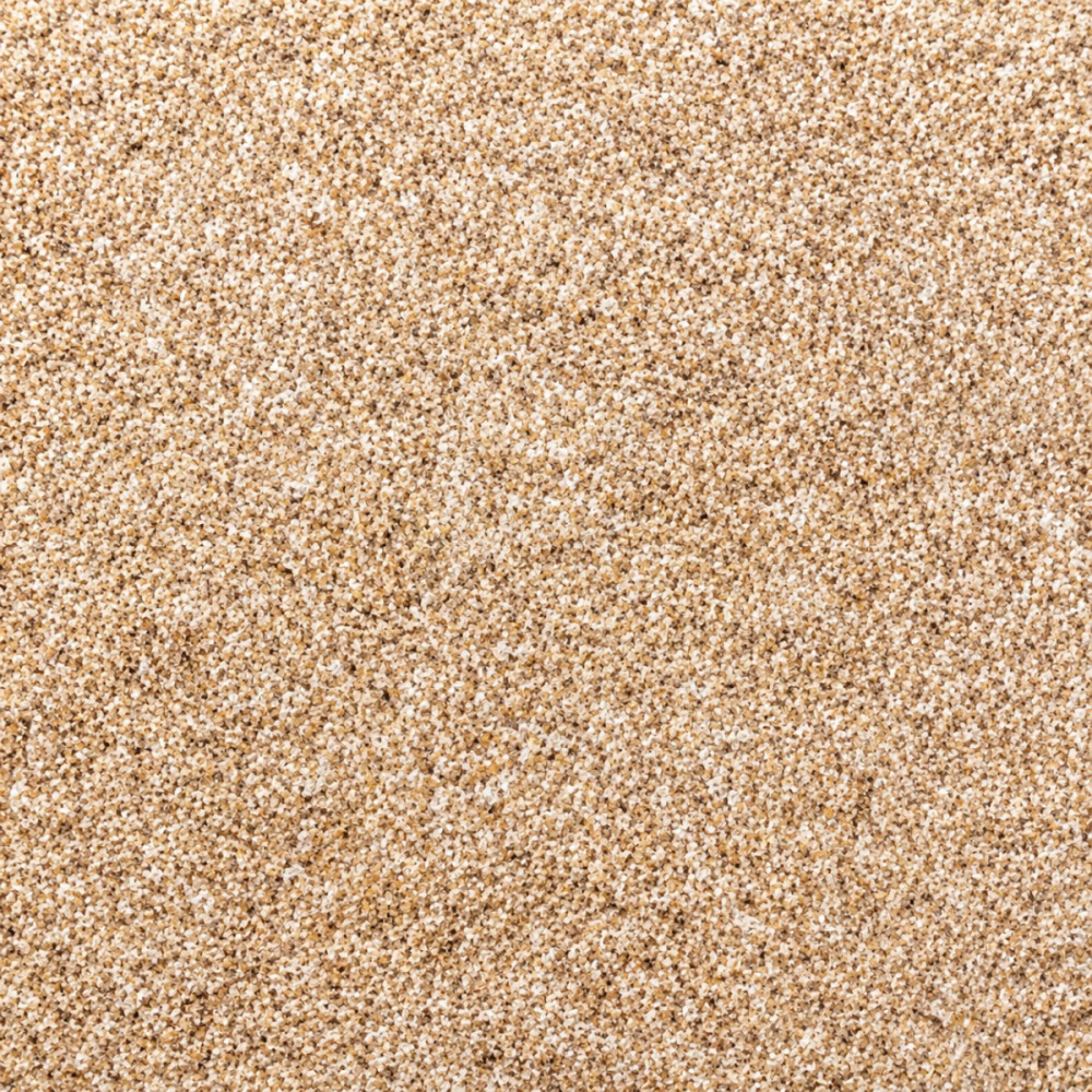 Psyllium